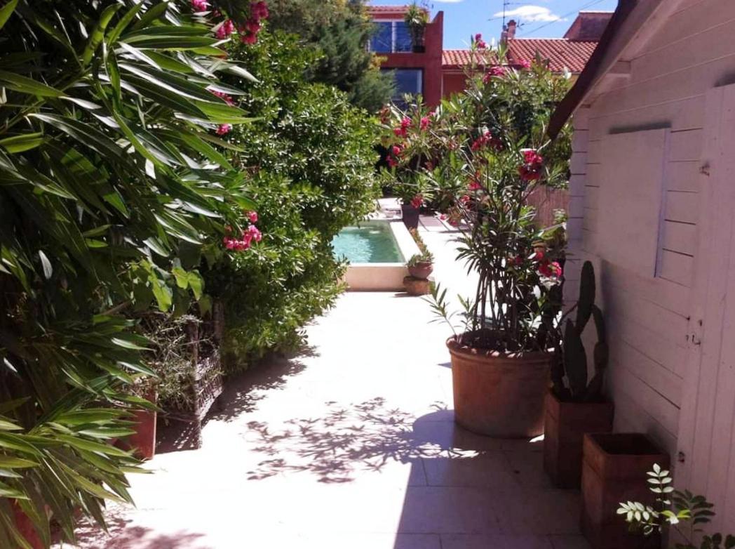 Soleil Bleu Sorède Exterior foto